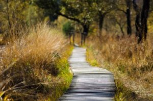 Genesung nach der Diagnose Burnout