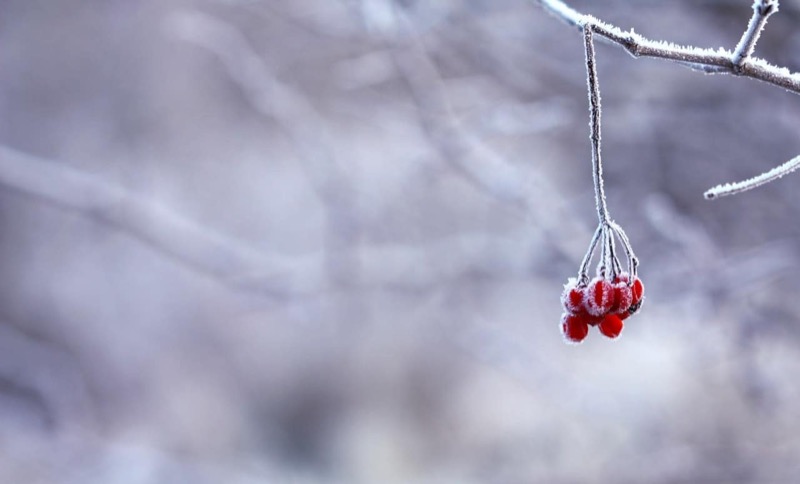 Winterdepression: Ursachen, Symptome und Behandlung